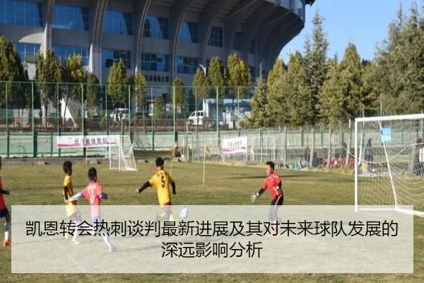 凯恩转会热刺谈判最新进展及其对未来球队发展的深远影响分析